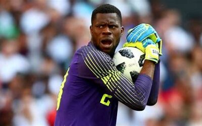 Malmö FF Eyes Super Eagles Goalkeeper Francis Uzoho