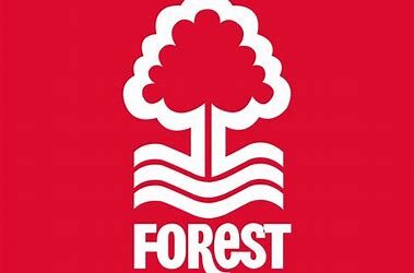 Nottingham Forest Set to Offload Four Players, Including Super Eagles’ Emmanuel Dennis