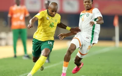Guinea and Niger Crash Out of CHAN After Costly Draws