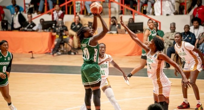 Queen of the Court: D’Tigress Roar Past Senegal into Afrobasket Final!